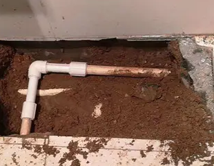 柳州测漏水哪家好