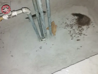 柳州卫生间测漏水价格明细