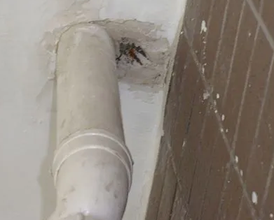 柳州漏水检测哪家好